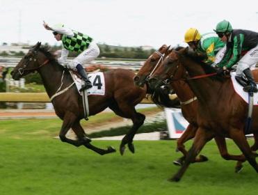 http://betting.betfair.com/horse-racing/Australia%20Rosehill.jpg